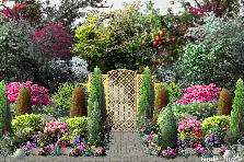 Garden design:A lovely Garden