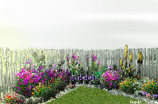 Garden design: Garden design:MON ESPACE