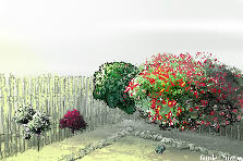 Garden design: Garden design:giardino 1