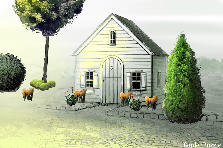 Garden design: Garden design:Q.S.L