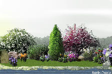 Garden design: Garden design:DNN