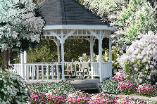 Garden design:White with a touch of rose
Thanks to JulieAnne and Marijana Garden design:Gazebo and ... My version - White