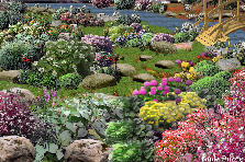 Garden design: Walking Between Stones and Flowers
tnx for the background, Aslikainak and Marijana . :) Garden design:stone-paved (my version) - Walking Between St