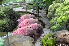 Garden design:One path forgotten.
The road is so old that those who used have died and the young have forgotten.
Thanks for the background, Lady D Garden design:BRIDGE ...- My version - One path forgotten.