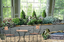 Garden design: Garden design:Indoor Window Shrub Garden
