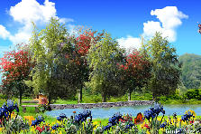 Garden design: Garden design:Somewhere To NoWhere
