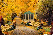 Garden design:I love the fall...dedicated to all of the fallen leaves all over the world. Garden design:AUTUMN MEMORIES