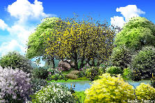Garden design:This is my final project. Thank you all for the kindness, the beauty of shared projects, the joy and friendship. I'll come back just to make some comments, as I promised. Be happy, my friends. See you soon.
Thanks for the bright background, AprilRain. Garden design:Somewhere.. My version-It's a beautiful day !