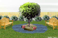 Garden design: Garden design:back yard