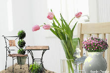 Garden design: Garden design:Corner Nook in Parlor