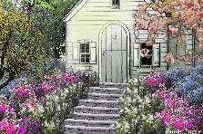 Garden design: Garden design:Flower Cottage