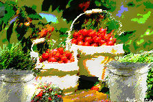 Garden design:Life Sometimes is a Bucket Full Of Cherries 1