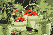 Garden design:My favorite fruit are Black Cherries. They are also are a natural migraine medicine and in fact can prevent them which was roven by me..They are a wonderful super food with Antioxidants. Helps in aging too...love that one! Garden design:Life Sometimes is a Bucket Full Of Cherries 2