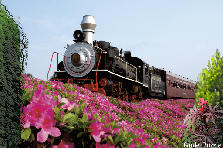 Garden design: Garden design:SHU SHU I'M GOING TO TRENTON!!!