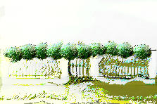 Garden design:I CREATED THIS JST 4 PEOPLE ROMANCE Garden design:natural