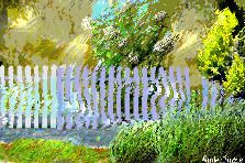 Garden design: Garden design:forbibben flowers