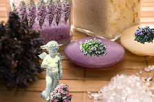 Garden design: Garden design:Lavender Sage Soap and Bath Salt