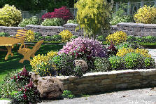 Garden design: Garden design:sunny day