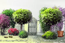 Garden design: Garden design:new garden