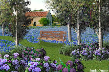 Garden design: Garden design:the blue field
