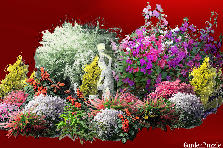 Garden design:FLOWER SONG Garden design:FLOWER SONG
