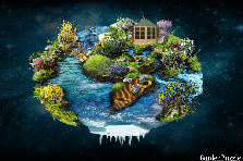 Garden design: Garden design:IN A GARDEN WORLD