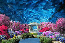 Garden design: Garden design:A Secret Garden