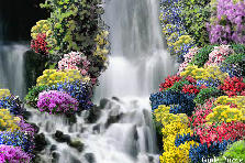 Garden design: Garden design:Waterfall