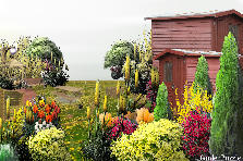 Garden design:COUNTRY LIFE Garden design:LOVING THE COUNTRY LIFE