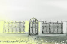 Garden design: Garden design:new garden