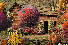 Garden design:This is a real picture of Mr. Lincoin's childhood home where he grew up in Kentucky. What it would look like if someone put some landscaping around it today.... please, take it and redo it for youself. I am Canadian, and I have the higest regard for this President... he was my favorite. With the deepest respect to him, and all people from the United States. =) Garden design:Abraham Lincoin's Childhood Home in Kentucky