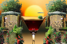 Garden design:Summer Evening Coctails