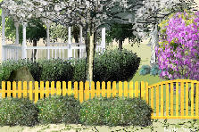 Garden design:the wonderful Garden design:garden wonderful