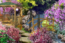 Garden design: Garden design:Relax