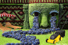Garden design: Garden design:Dreams of Summers past