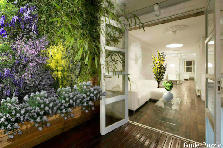 Garden design:I JUST FINISH REMODELING MY APARTAMEN..... Garden design:MY APARTAMEN IN SOHO.....