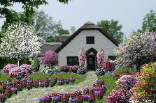 Garden design: Garden design:New cottage house