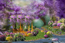 Garden design:My version of Swan Lake... Garden design:Swan Lake