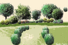 Garden design:prova disegno Garden design:prova