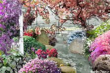 Garden design:relaxation Garden design:Japanese Garden