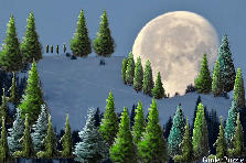 Garden design:fullmoon