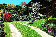 NIL GARDEN ( my version ) - Autumn