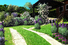 NIL GARDEN ( my version ) - Summer