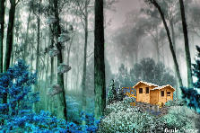 Garden design: Garden design:Solstice Forest