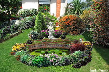 miniature garden - Autumn