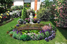 miniature garden - Summer