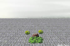 Garden design:????? Garden design:GP