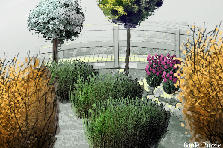 Garden design: Garden design:my garden
