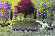 Garden design: Garden design:Japanese Koi Pond Garden