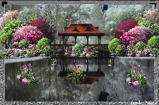 Garden design:Infared Zen Garden